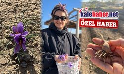 Merve Lüy’den Kırıkkale’ye Yeni Tarım Modeli