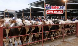 Kırıkkale Hayvan Pazarı Yeniden Açılıyor