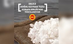Delice Doğal Kaynak Tuzu Avrupa Birliği Yolunda