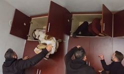 Aranan Şahsın Yakalandığı Yer Pes Dedirtti