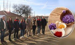 Safran Kokulu Hayaller Projesi Sahada Meyve Verdi