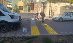 Hasandede Köyünde Hız Kesici Kasisler Boyandı