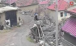 Karısının Kafasını Tekmeleyen Şahıs Tutuklandı