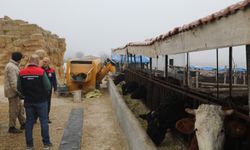 Ahılı’da Hayvancılığa Destek: Kırsalda Bereket Projesi Sürüyor