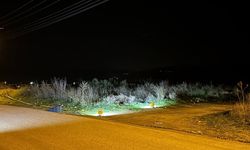 Yol Kenarında Cansız Beden Bulundu