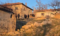 Bağlı Köpek Çocuklara Saldırdı: 14 Yaşındaki Çocuk Ağır Yaralandı