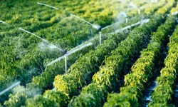 DAP Bölge Kalkınma İdaresi 12 Yılda 2 Bin 86 Projeye Destek Verdi