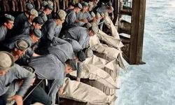 Dünya tarhinde bir acı olay