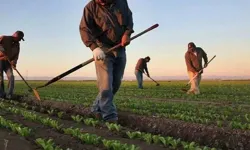 Kırıkkale’de ÇKS Başvuruları İçin Geri Sayım