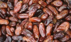 Türkiye’den Filistin’e Hurmada Kota Desteği