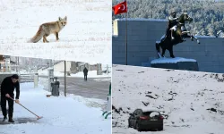 Yurdun Bazı Kesimlerinde Kar Etkili Oldu