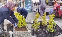 Kırıkkale’de Çay Ocakları Bölgesi Yeşillendi