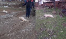 Çerikli Belediyesi’nden Sosyal Medyadaki İddialara Açıklama