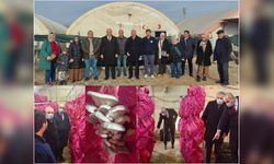 Mantarcılık Kursunda Teori ve Uygulama Buluştu