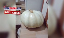 Kırıkkale’de Dev Kabak Rekoru