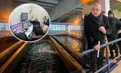 Yeşil Vadi’de Milyonluk İsraf Sona Erdi