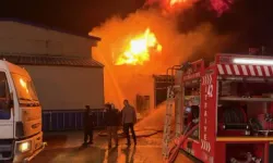 Alevlerin gökyüzüne ulaştığı bölgede itfaiye ekiplerinin müdahalesi sürüyor.