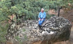 Hüseyin Demirbilek Taburcu Oldu