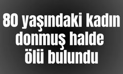 80 Yaşındaki kadın donarak can verdi