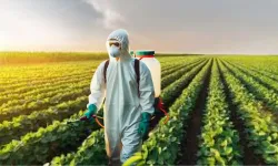 Tarımda B-Reçete Dönemi: Zirai İlaçlar Reçeteyle Takip Edilecek