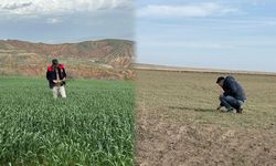 Kırıkkale’de Arazi Ürün Beyan Kontrolleri Sürüyor