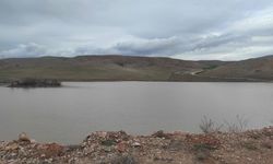 Ahılı’da Gölette Sevindirici Görüntü