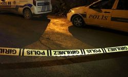 Damat bunalımı: Kayınbaba hayatını kaybetti