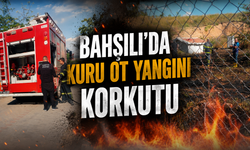 Bahşılı'da Kuru Ot Yangını Korkuttu