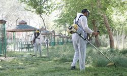 Yahşihan’da Parklar Yaz Sezonuna Hazırlanıyor