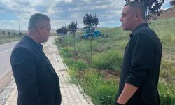 Sulakyurt’ta Ağaçlandırma Çalışmaları Sürüyor