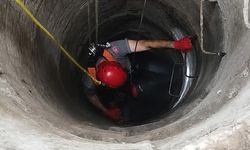 Kuyuya Düşen Kedinin İmdadına İtfaiye Yetişti