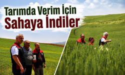 Kırıkkale’de Buğday Deneme Alanları İncelendi