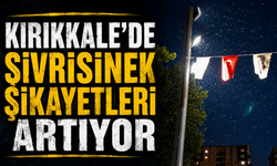 Kırıkkale'de Sivrisinek Şikayetleri Artıyor