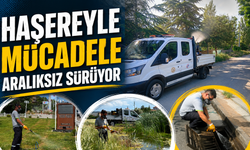 Kırıkkale Belediyesi Yaz Boyunca Haşerelere Karşı Sahada