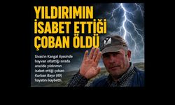 Yıldırım çobanın canını aldı