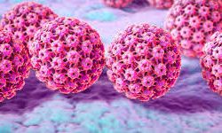 "HPV'ye Karşı Korunmada Aşı ve Tarama Önemli"