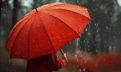Mayıs ayında yağışlar zirveye çıktı