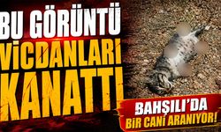 İlçe Girişindeki Görüntü Vicdanları Yaraladı