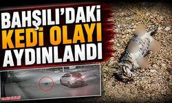 Bahşılı'daki Kedi Olayı Aydınlandı