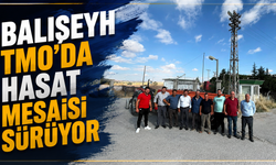 Balışeyh TMO'da Hasat Mesaisi Sürüyor