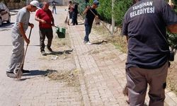 Yahşihan'da Temizlik Çalışmaları Aralıksız Devam Ediyor