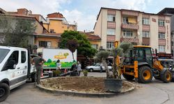 Kırıkkale'de Kavşaklar ve Yeşil Alanlar Güzelleşiyor