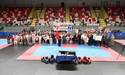 Kırıkkale, ANALİG Tekvando Heyecanına Ev Sahipliği Yapıyor