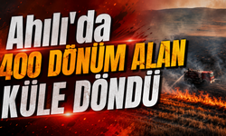 Ahılı'da 400 Dönüm Alan Küle Döndü