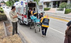 Yaya Geçidinde Duramayan Minibüs, Anneanne ve Torununa Çarptı