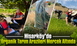 Hisarköy’de Organik Tarım Arazileri Mercek Altında