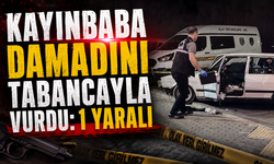 Kayınbaba Damadını Tabancayla Vurdu: 1 Yaralı