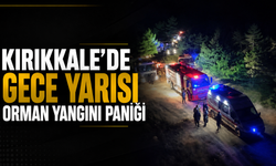 Kuşun Çarptığı Hat Yangına Neden Oldu İddiası