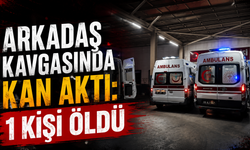 Arkadaş Kavgasında Kan Aktı: 1 Kişi Öldü