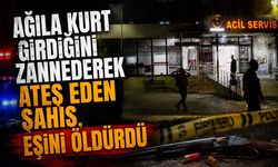 Ağıla Kurt Girdiğini Zannederek Ateş Eden Şahıs, Eşini Öldürdü